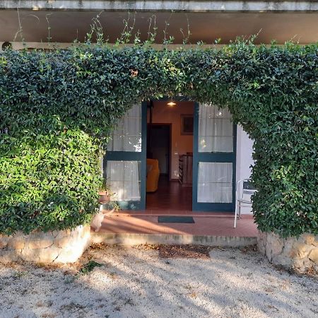 8380 Il Tiglio Verde Manciano Exterior photo